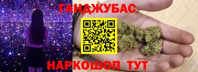 прущие грибы Лесосибирск